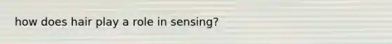 how does hair play a role in sensing?