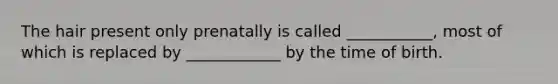 The hair present only prenatally is called ___________, most of which is replaced by ____________ by the time of birth.