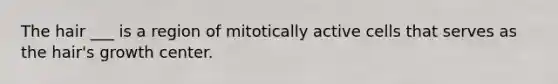 The hair ___ is a region of mitotically active cells that serves as the hair's growth center.