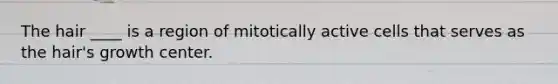 The hair ____ is a region of mitotically active cells that serves as the hair's growth center.