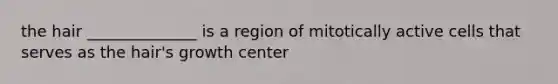 the hair ______________ is a region of mitotically active cells that serves as the hair's growth center