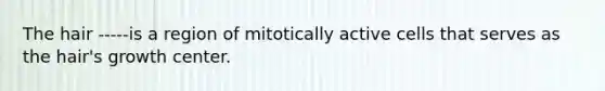 The hair -----is a region of mitotically active cells that serves as the hair's growth center.