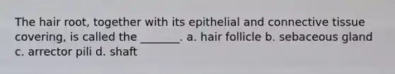 The hair root, together with its epithelial and connective tissue covering, is called the _______. a. hair follicle b. sebaceous gland c. arrector pili d. shaft