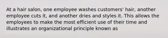 At a hair salon, one employee washes customers' hair, another employee cuts it, and another dries and styles it. This allows the employees to make the most efficient use of their time and illustrates an organizational principle known as