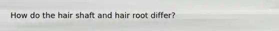 How do the hair shaft and hair root differ?