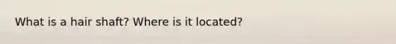 What is a hair shaft? Where is it located?