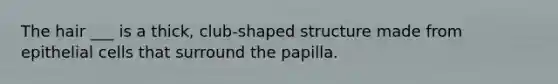 The hair ___ is a thick, club-shaped structure made from epithelial cells that surround the papilla.