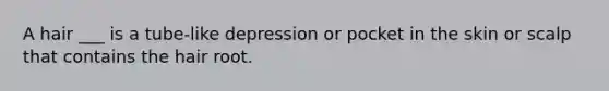 A hair ___ is a tube-like depression or pocket in the skin or scalp that contains the hair root.