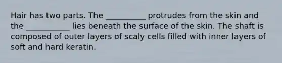 Hair has two parts. The __________ protrudes from the skin and the ___________ lies beneath the surface of the skin. The shaft is composed of outer layers of scaly cells filled with inner layers of soft and hard keratin.