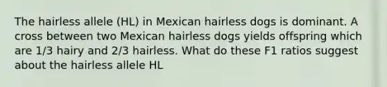 The hairless allele (HL) in Mexican hairless dogs is dominant. A cross between two Mexican hairless dogs yields offspring which are 1/3 hairy and 2/3 hairless. What do these F1 ratios suggest about the hairless allele HL