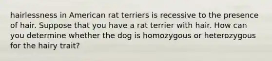 hairlessness in American rat terriers is recessive to the presence of hair. Suppose that you have a rat terrier with hair. How can you determine whether the dog is homozygous or heterozygous for the hairy trait?