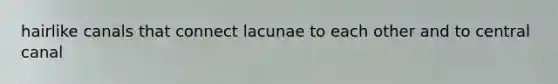 hairlike canals that connect lacunae to each other and to central canal
