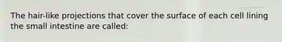 The hair-like projections that cover the surface of each cell lining the small intestine are called: