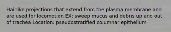 Hairlike projections that extend from the plasma membrane and are used for locomotion EX: sweep mucus and debris up and out of trachea Location: pseudostratified columnar epithelium