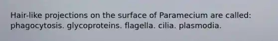 Hair-like projections on the surface of Paramecium are called: phagocytosis. glycoproteins. flagella. cilia. plasmodia.