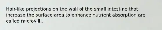 Hair-like projections on the wall of the small intestine that increase the surface area to enhance nutrient absorption are called microvilli.