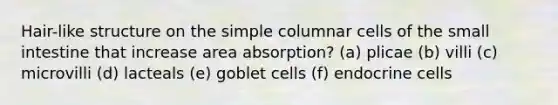 Hair-like structure on the simple columnar cells of the small intestine that increase area absorption? (a) plicae (b) villi (c) microvilli (d) lacteals (e) goblet cells (f) endocrine cells