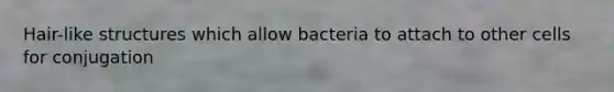Hair-like structures which allow bacteria to attach to other cells for conjugation