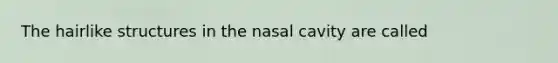 The hairlike structures in the nasal cavity are called