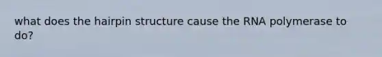 what does the hairpin structure cause the RNA polymerase to do?