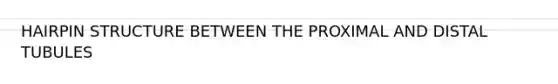 HAIRPIN STRUCTURE BETWEEN THE PROXIMAL AND DISTAL TUBULES