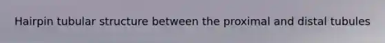 Hairpin tubular structure between the proximal and distal tubules