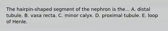 The hairpin-shaped segment of the nephron is the... A. distal tubule. B. vasa recta. C. minor calyx. D. proximal tubule. E. loop of Henle.