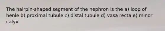 The hairpin-shaped segment of the nephron is the a) loop of henle b) proximal tubule c) distal tubule d) vasa recta e) minor calyx