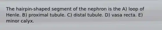 The hairpin-shaped segment of the nephron is the A) loop of Henle. B) proximal tubule. C) distal tubule. D) vasa recta. E) minor calyx.