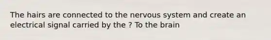 The hairs are connected to the nervous system and create an electrical signal carried by the ? To the brain