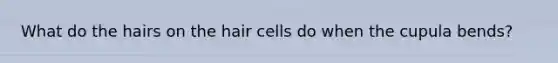 What do the hairs on the hair cells do when the cupula bends?