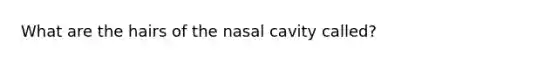 What are the hairs of the nasal cavity called?