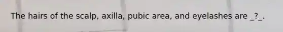 The hairs of the scalp, axilla, pubic area, and eyelashes are _?_.