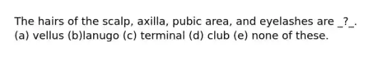 The hairs of the scalp, axilla, pubic area, and eyelashes are _?_. (a) vellus (b)lanugo (c) terminal (d) club (e) none of these.