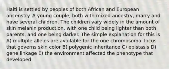 Haiti is settled by peoples of both African and European ancenstry. A young couple, both with mixed ancestry, marry and have several children. The children vary widely in the amount of skin melanin production, with one child being lighter than both parents, and one being darker. The simple explanation for this is A) multiple alleles are available for the one chromosomal locus that governs skin color B) polygenic inheritance C) epistasis D) gene linkage E) the environment affected the phenotype that developed