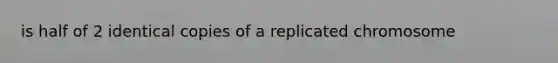 is half of 2 identical copies of a replicated chromosome