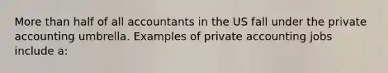 More than half of all accountants in the US fall under the private accounting umbrella. Examples of private accounting jobs include a: