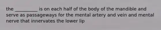 the __________ is on each half of the body of the mandible and serve as passageways for the mental artery and vein and mental nerve that innervates the lower lip