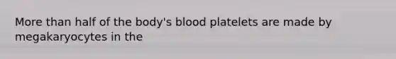 <a href='https://www.questionai.com/knowledge/keWHlEPx42-more-than' class='anchor-knowledge'>more than</a> half of the body's blood platelets are made by megakaryocytes in the