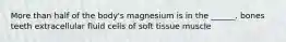 More than half of the body's magnesium is in the ______. bones teeth extracellular fluid cells of soft tissue muscle