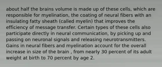 about half the brains volume is made up of these cells, which are responsible for myelination, the coating of neural fibers with an insulating fatty sheath (called myelin) that improves the efficiency of message transfer. Certain types of these cells also participate directly in neural communication, by picking up and passing on neuronal signals and releasing neurotransmitters. Gains in neural fibers and myelination account for the overall increase in size of the brain , from nearly 30 percent of its adult weight at birth to 70 percent by age 2.