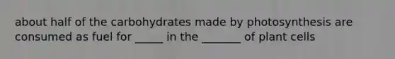 about half of the carbohydrates made by photosynthesis are consumed as fuel for _____ in the _______ of plant cells