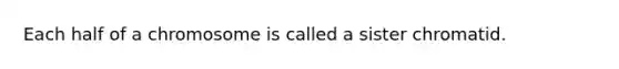 Each half of a chromosome is called a sister chromatid.
