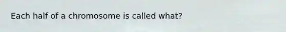 Each half of a chromosome is called what?