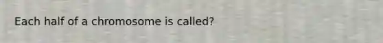 Each half of a chromosome is called?