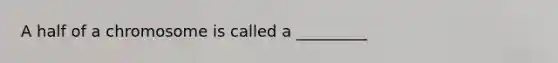 A half of a chromosome is called a _________