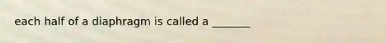 each half of a diaphragm is called a _______