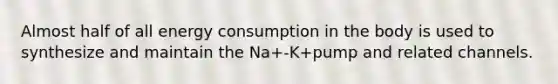 Almost half of all energy consumption in the body is used to synthesize and maintain the Na+-K+pump and related channels.