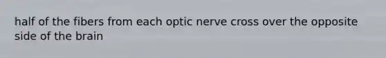 half of the fibers from each optic nerve cross over the opposite side of the brain