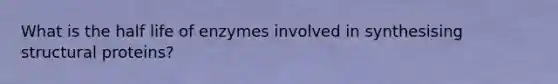 What is the half life of enzymes involved in synthesising structural proteins?